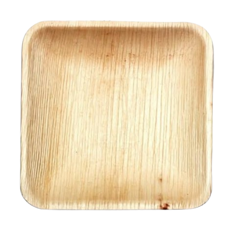 6 inch square palm leaf plate