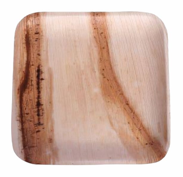 9.5 inch square palm leaf plate