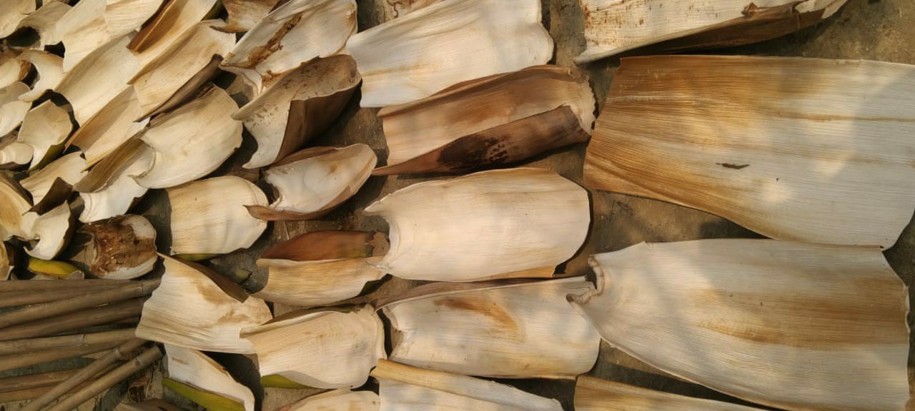 Natural drying of palm leaves