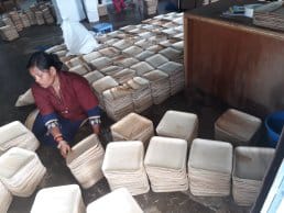 Quality inspection of palm leaf tableware